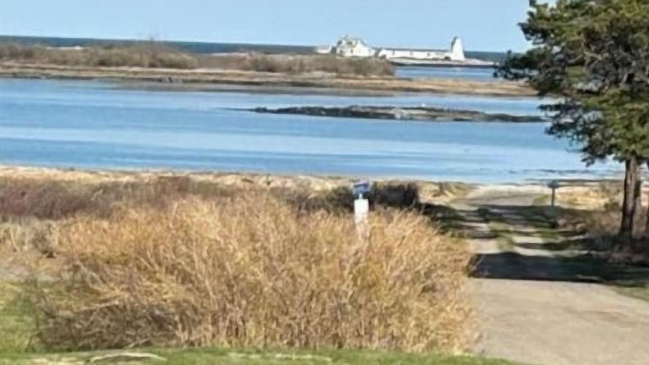 Photo of Others in Cape Porpoise