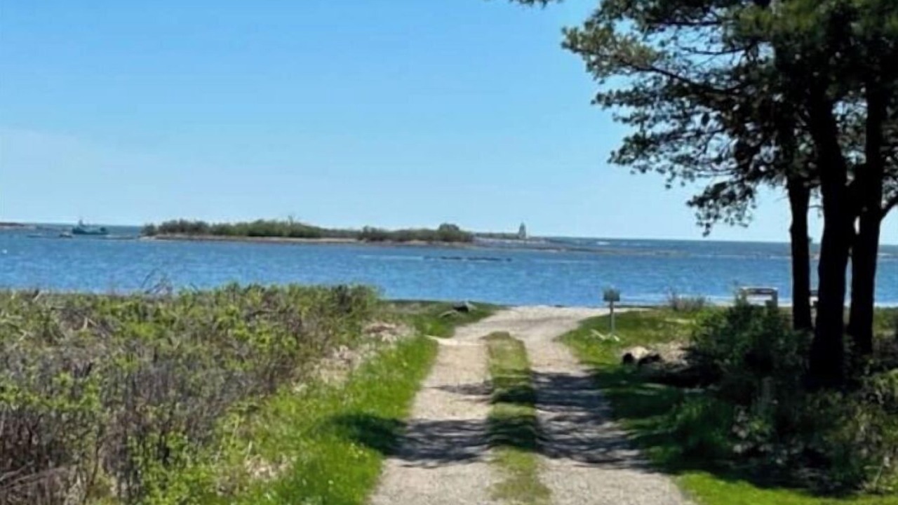 Photo of Others in Cape Porpoise