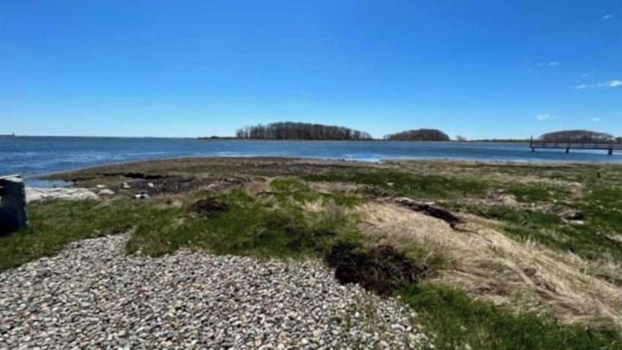 Photo of Others in Cape Porpoise