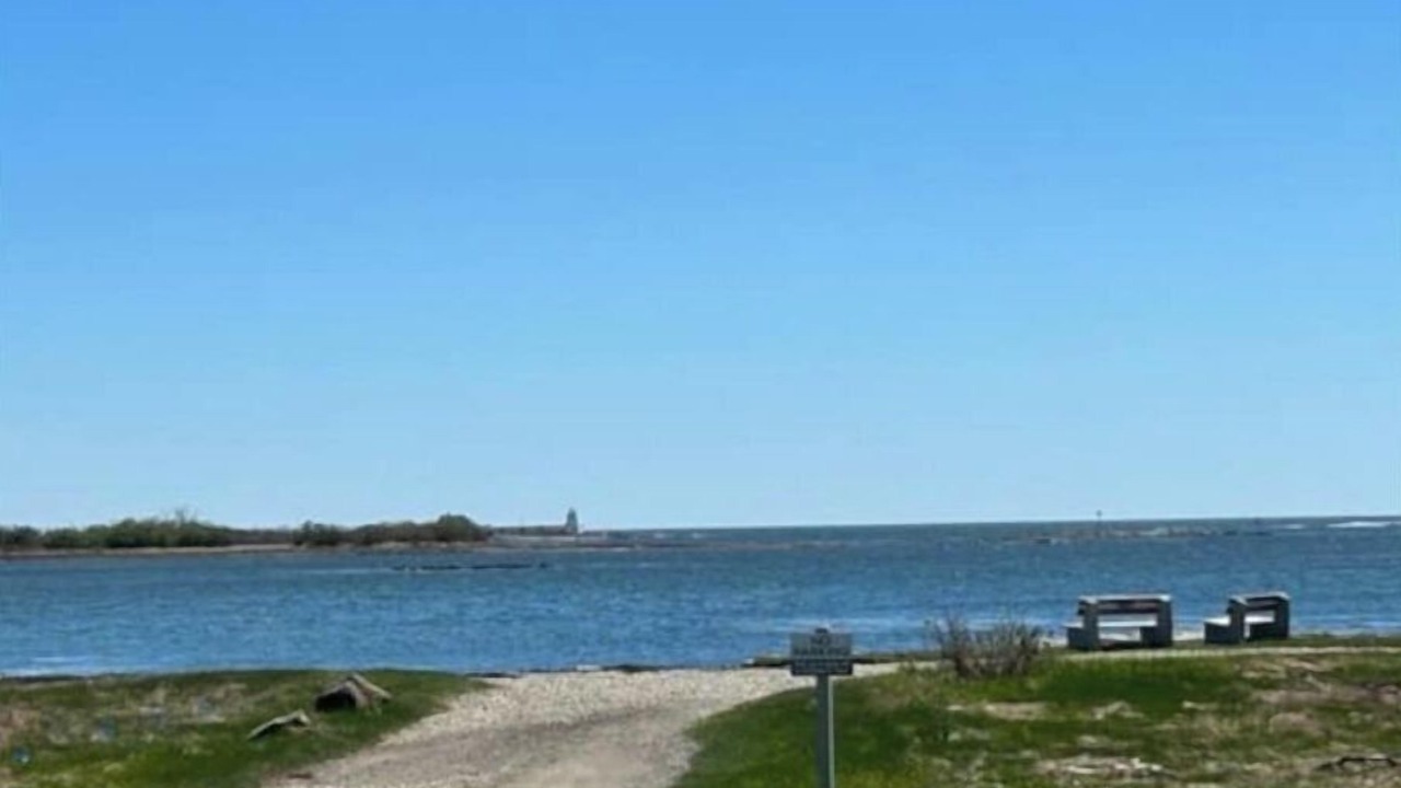 Photo of Others in Cape Porpoise
