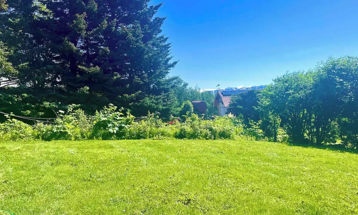 Photo of Outdoor in Kachemak