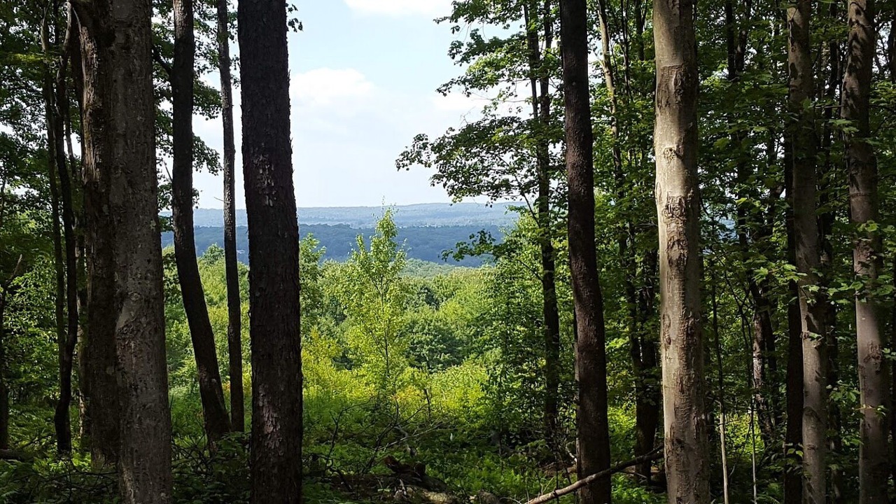 Photo of Outdoor in Johnsonburg