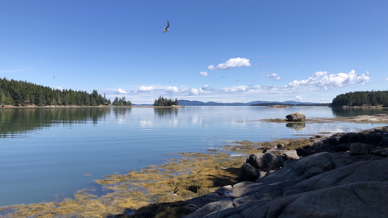 Photo of Outdoor in Swans Island