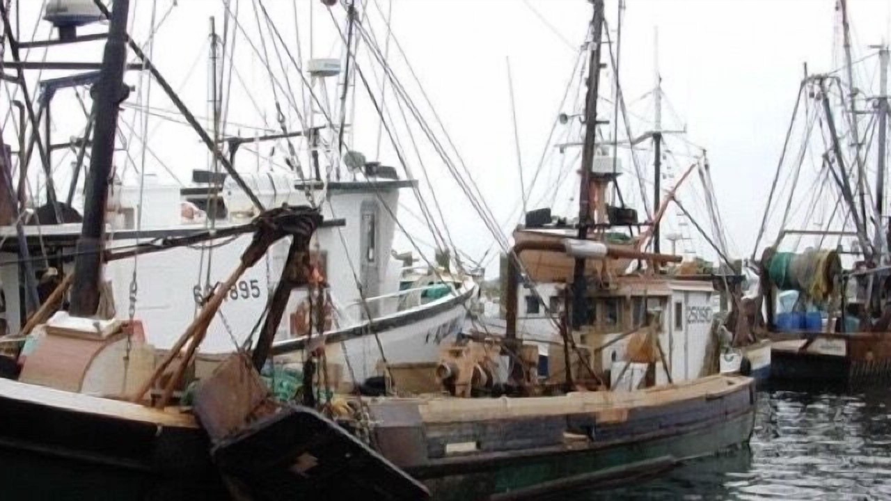 Photo of Others in Narragansett