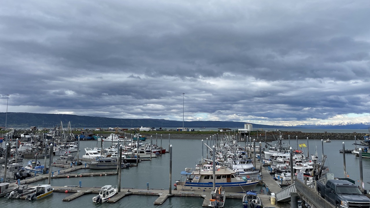 Photo of Others in Homer