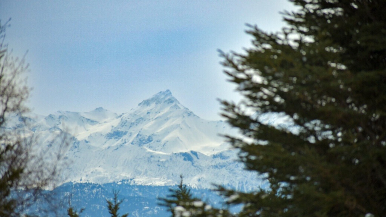 Photo of Others in Fritz Creek
