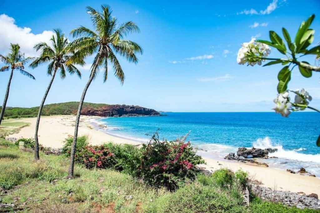 Photo of Others in Maunaloa