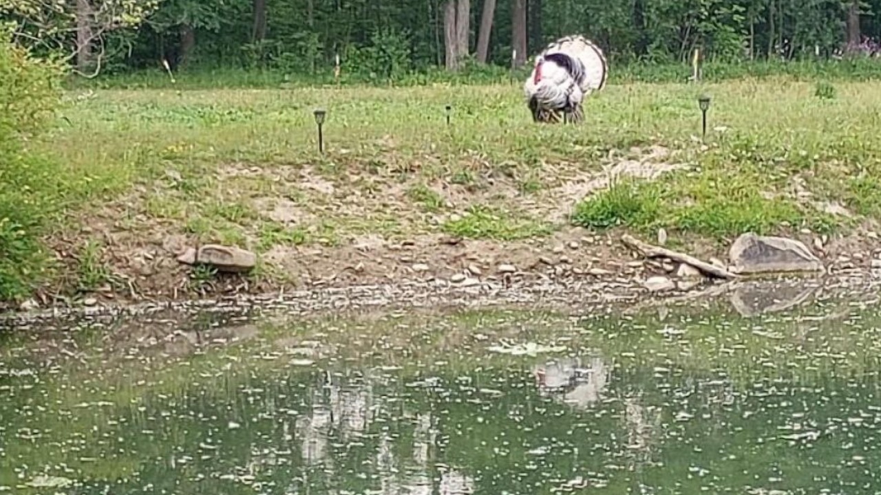 Photo of Others in Town of Burns