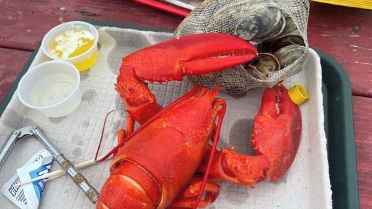 Photo of Others in Damariscotta