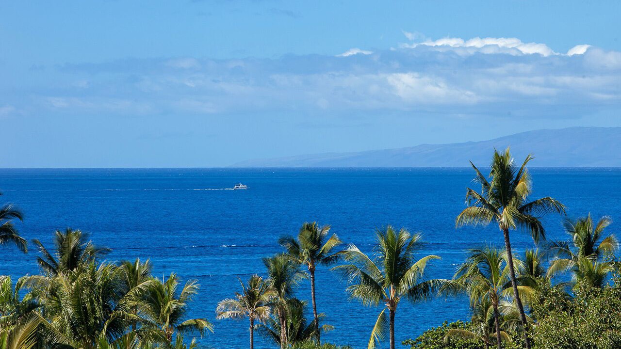 Photo of Others in Wailea