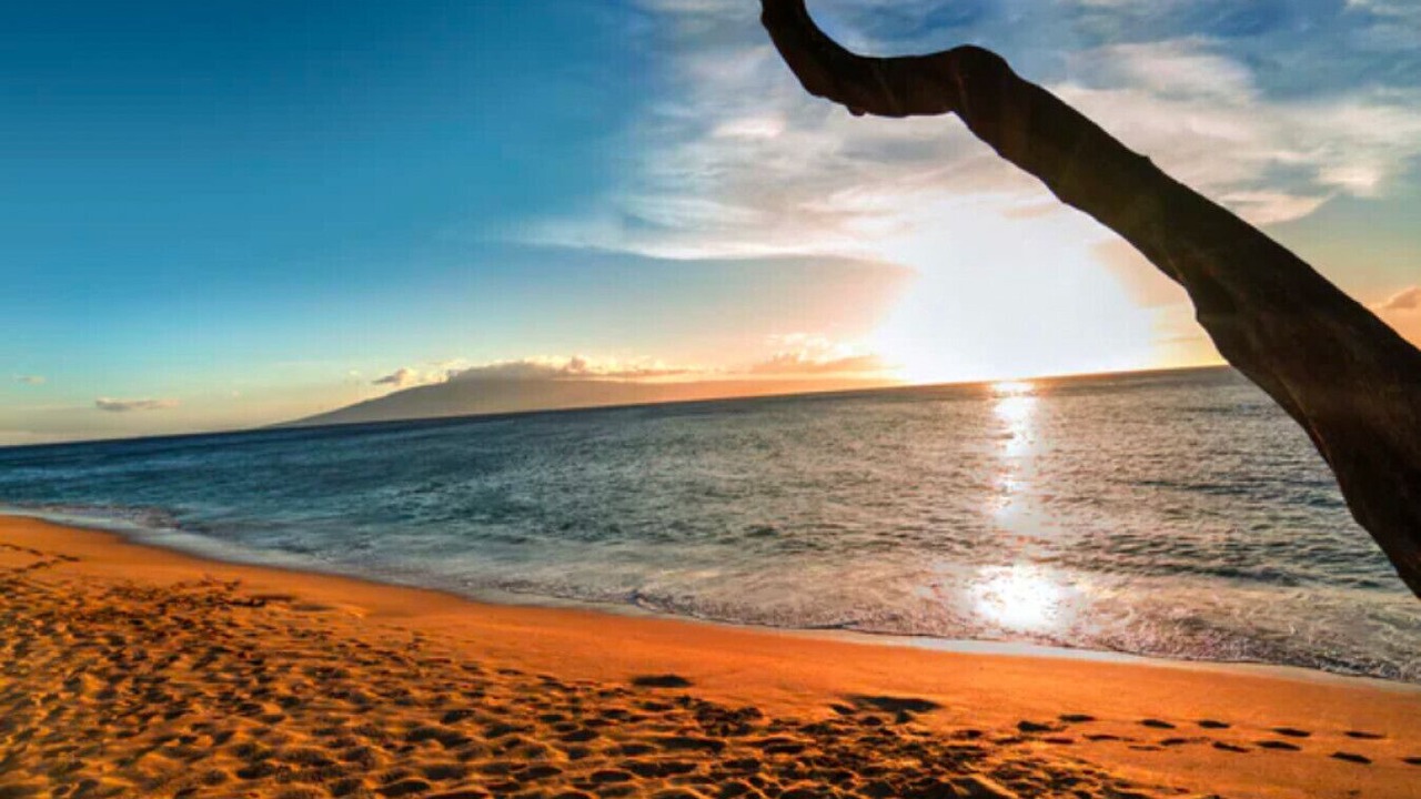 Photo of Others in Kaanapali