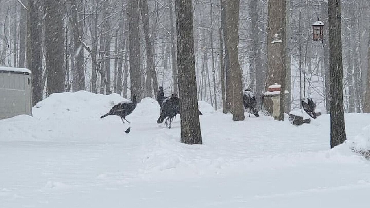 Photo of Others in Streetsboro