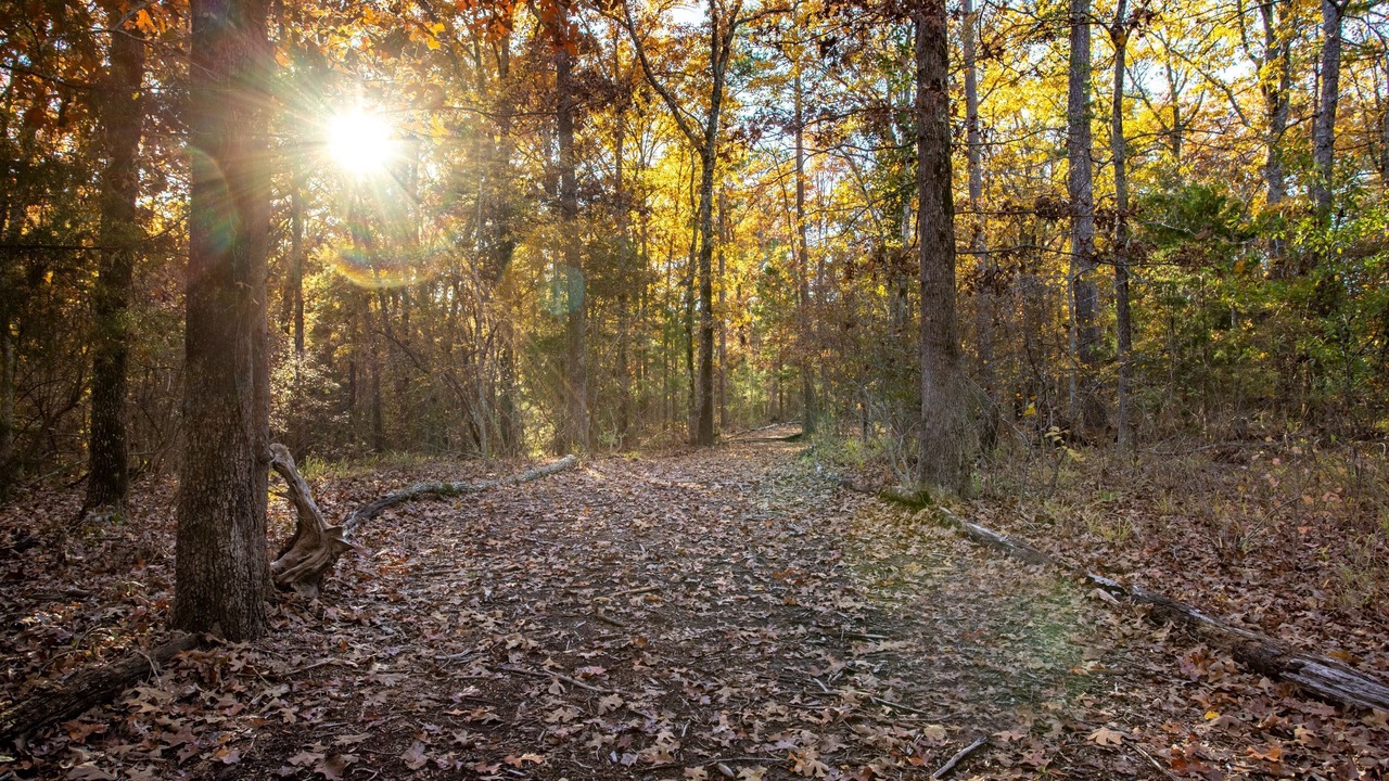 Photo of Others in Wood County