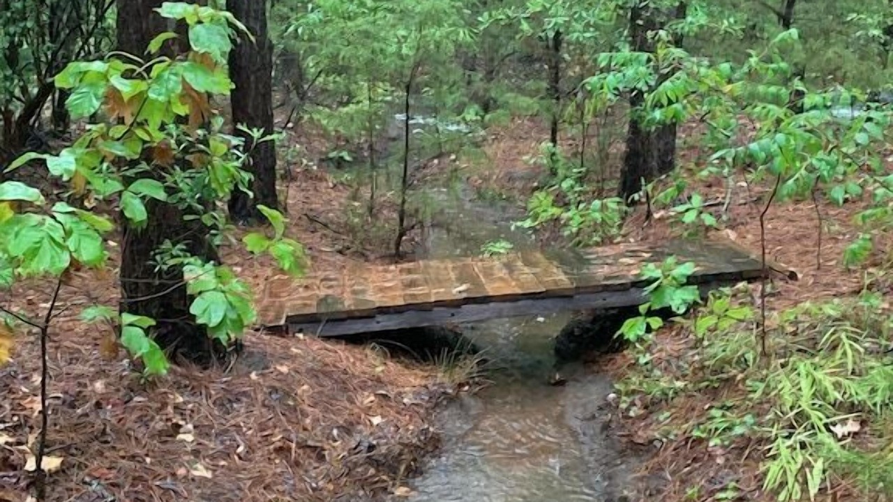 Photo of Outdoor in Wood County