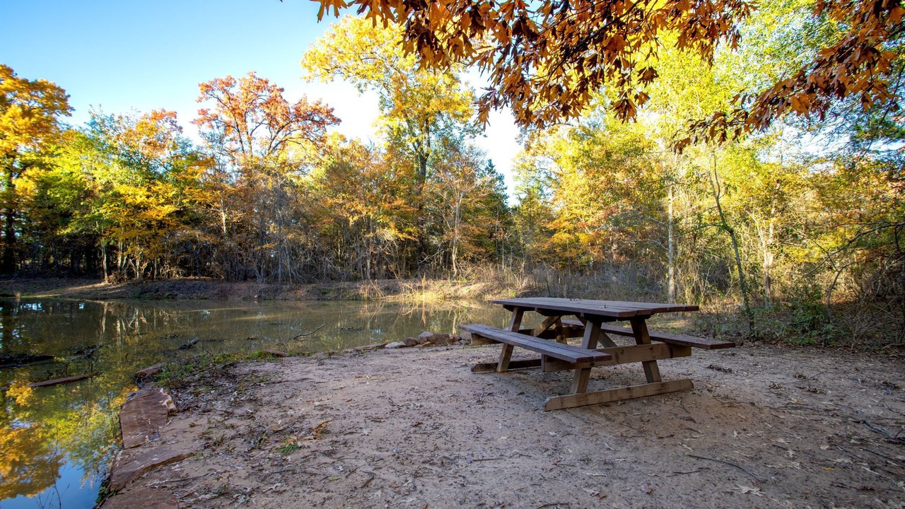 Photo of Outdoor in Wood County