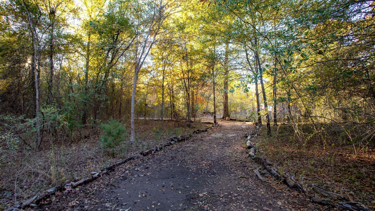 Photo of Others in Wood County