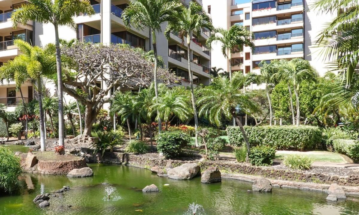 Photo of Outdoor in Kahana