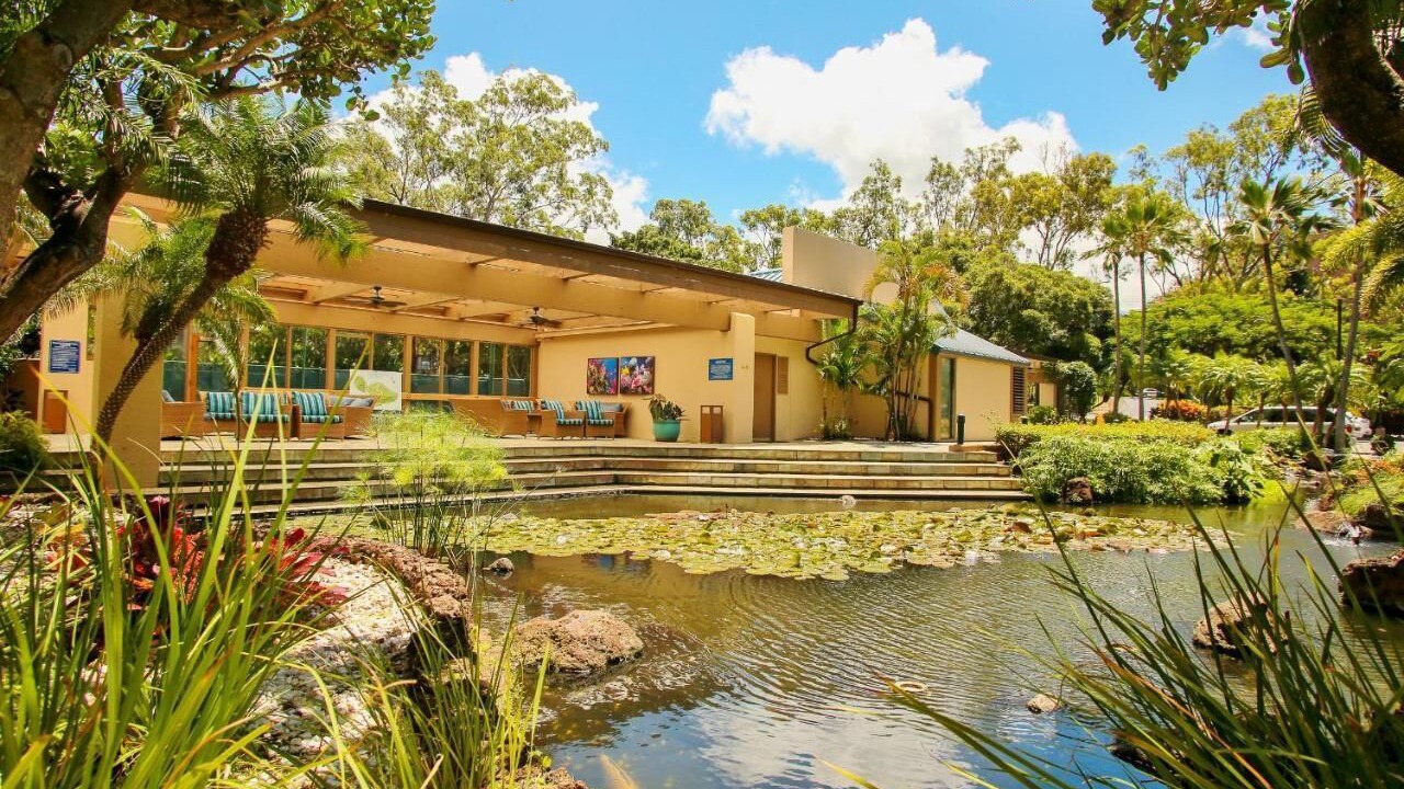 Photo of Outdoor in Kahana