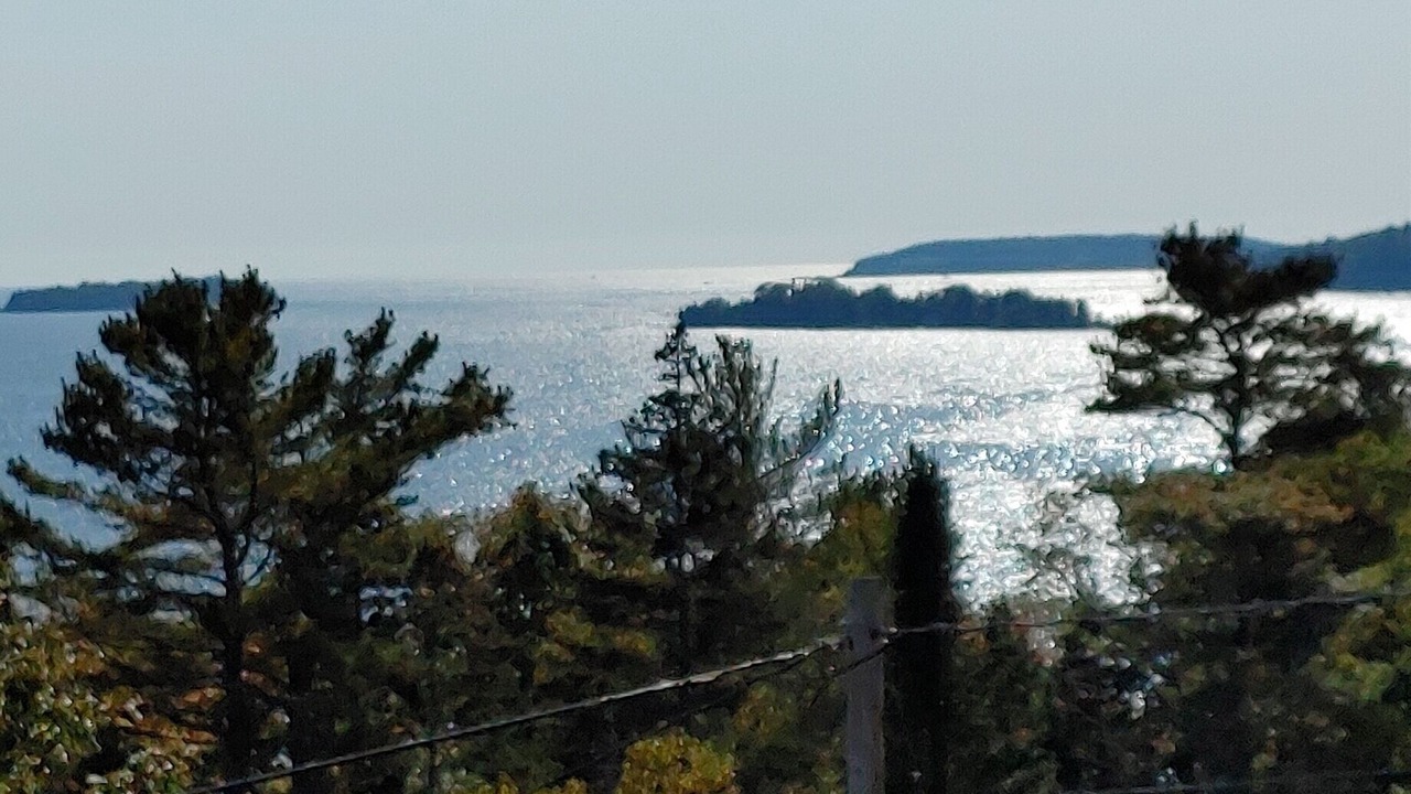 Photo of Outdoor in Bayville