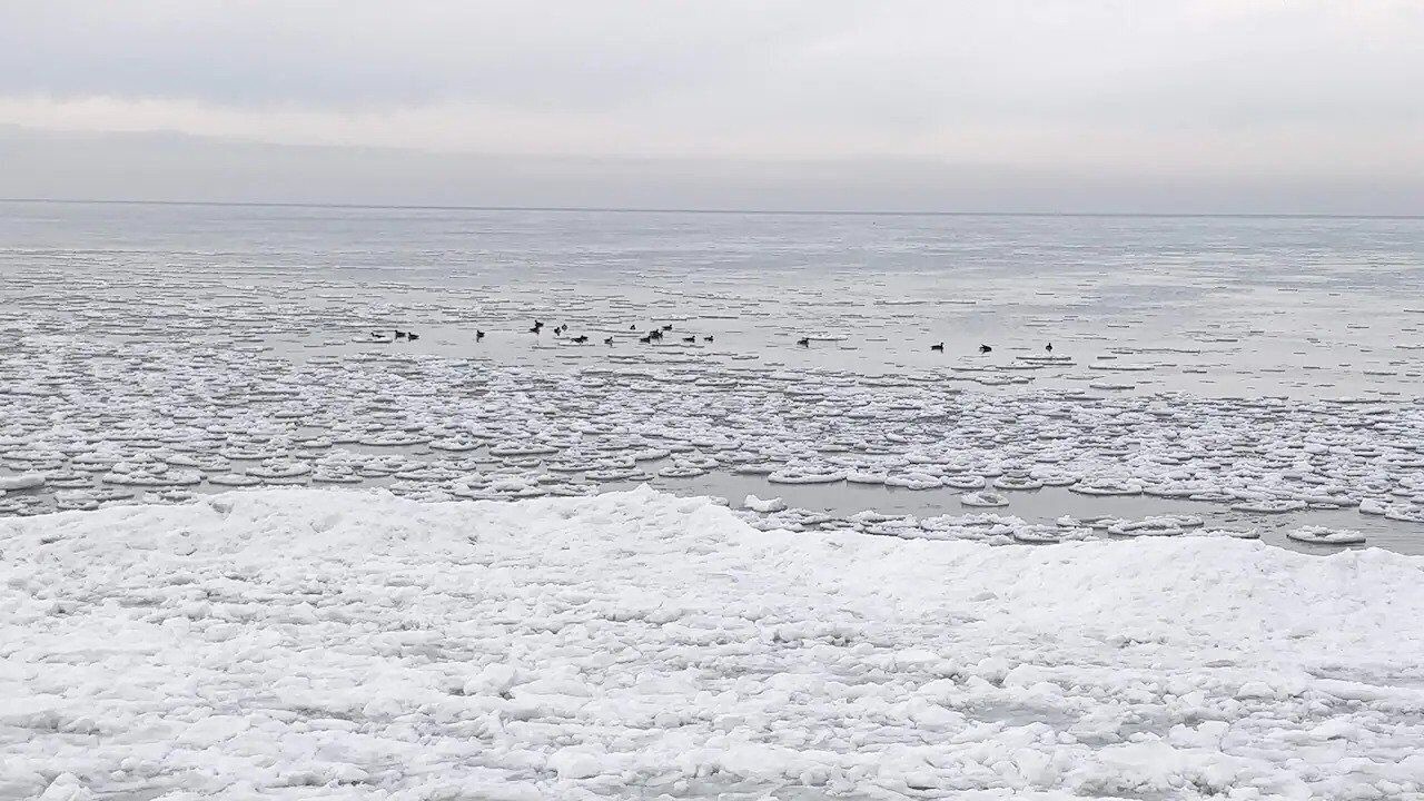 Photo of Others in Wilson