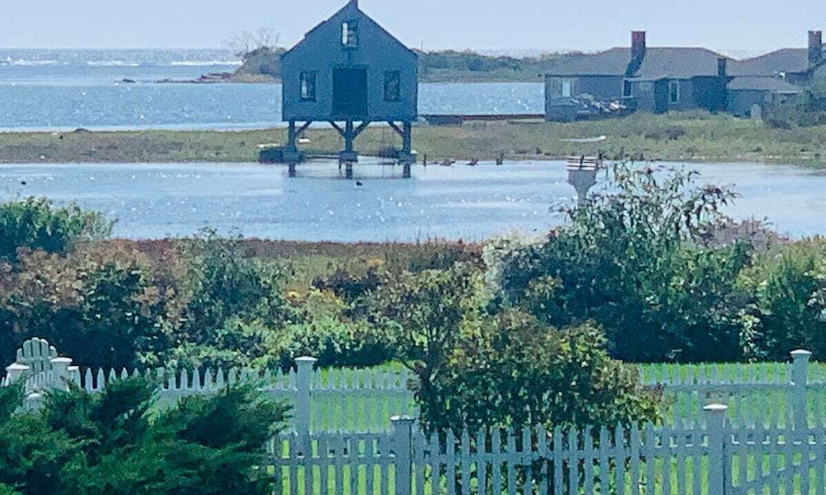Photo of Others in Cape Porpoise