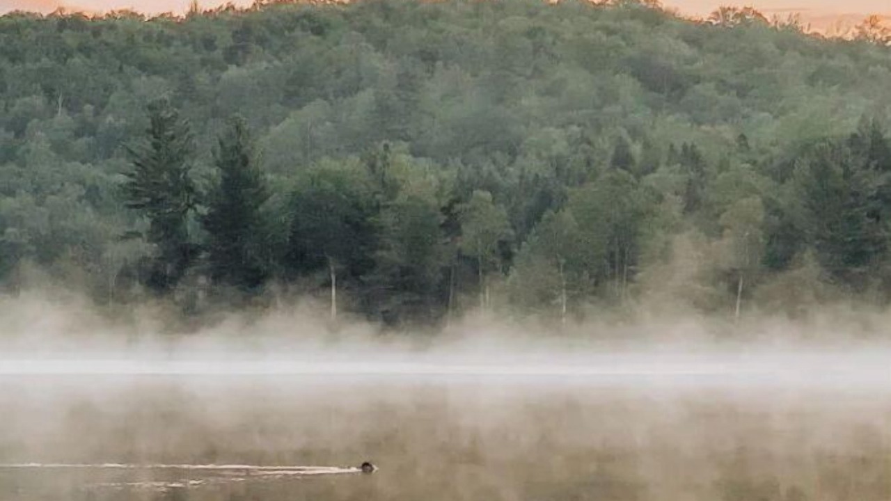 Photo of Outdoor in Dryden