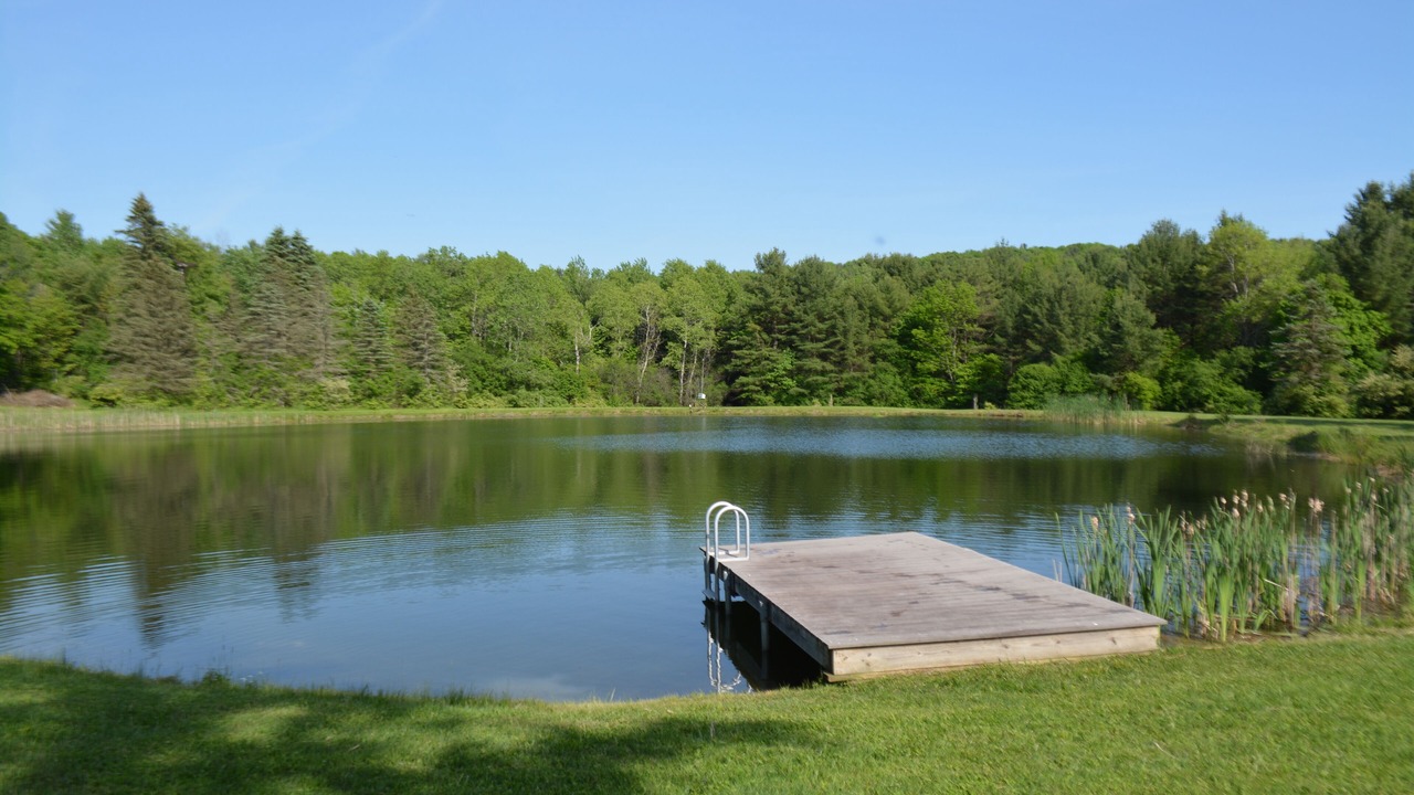 Photo of Outdoor in Scio
