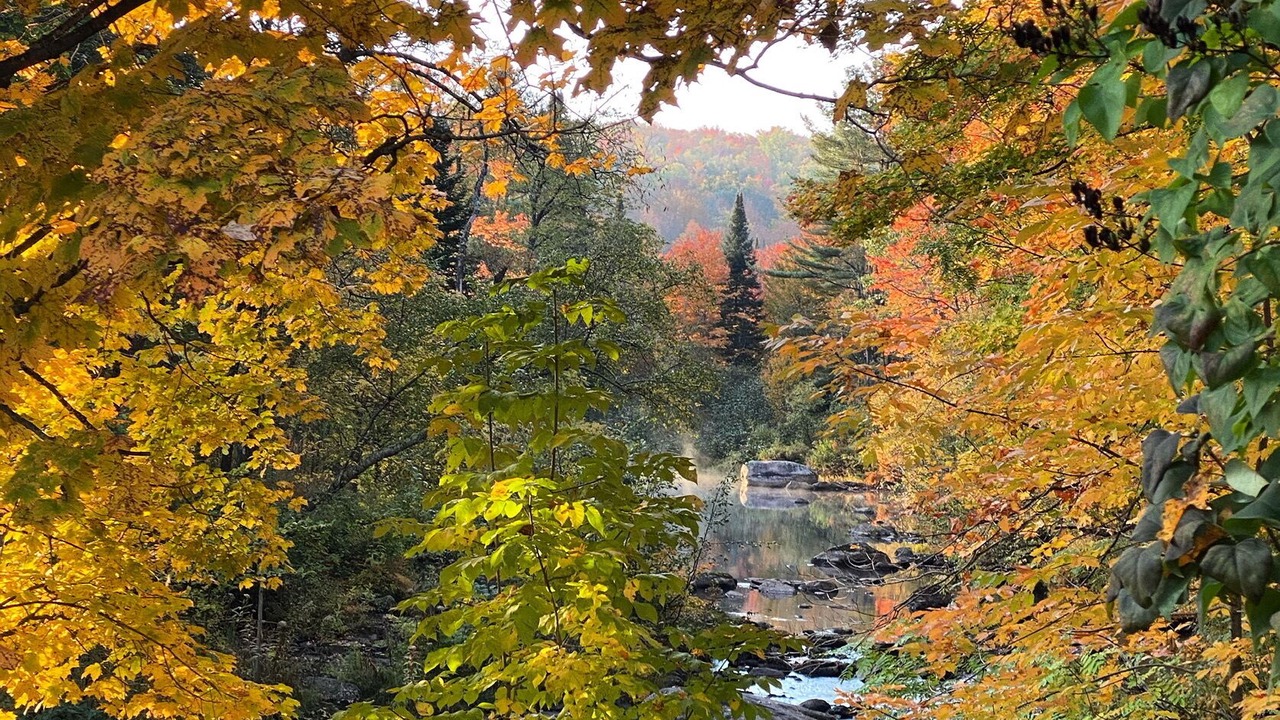 Photo of Outdoor in North New Portland