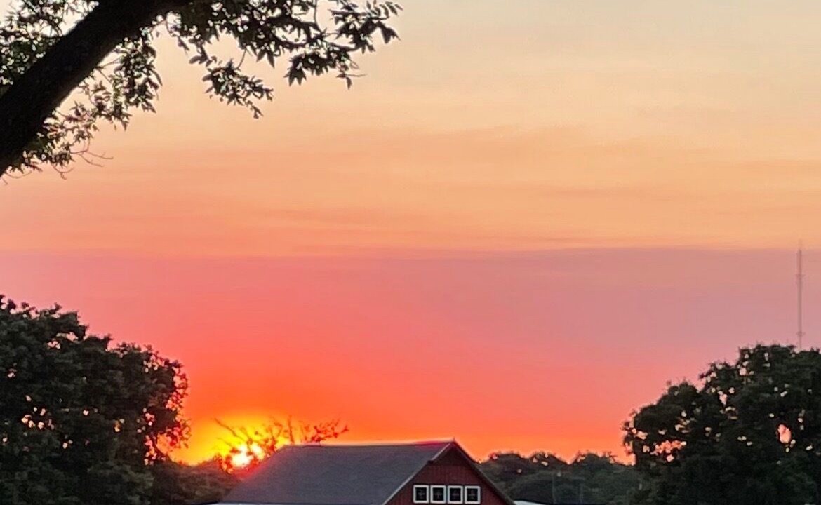 Photo of Outdoor in Sulphur Springs