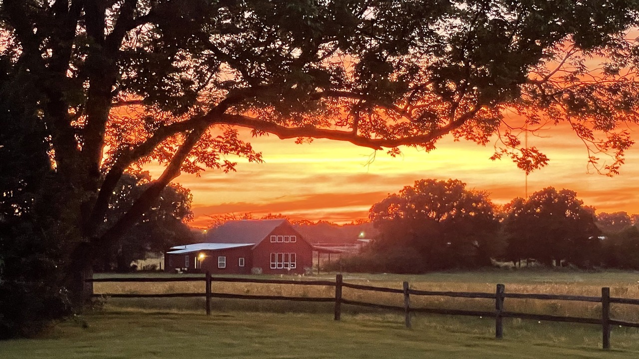 Photo of Outdoor in Sulphur Springs