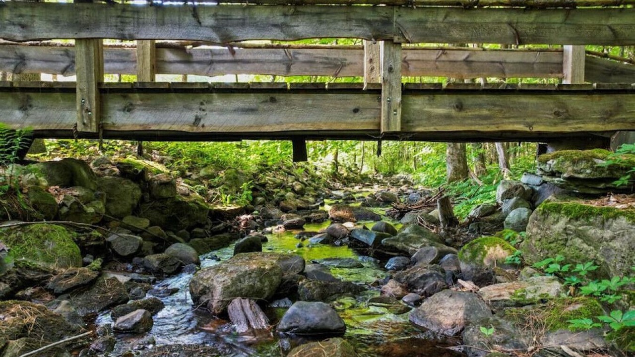 Photo of Outdoor in Greenfield Center