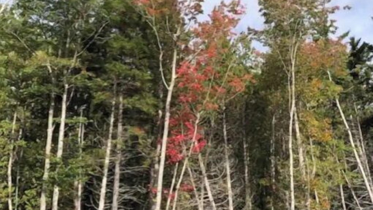 Photo of Outdoor in Mount Desert