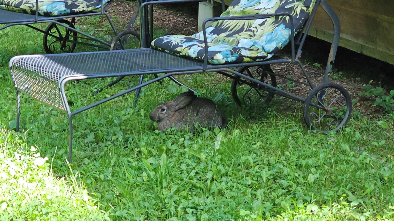 Photo of Outdoor in Smithfield