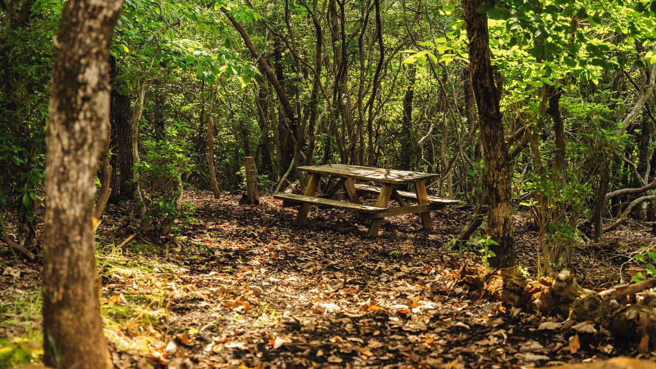 Photo of Outdoor in Helen