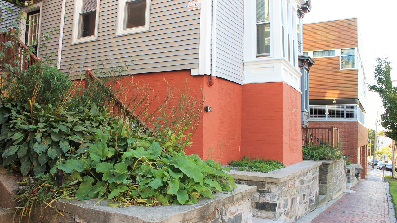 Photo of Outdoor in West End