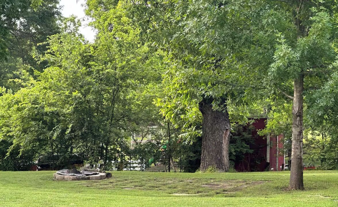 Photo of Others in Lone Oak
