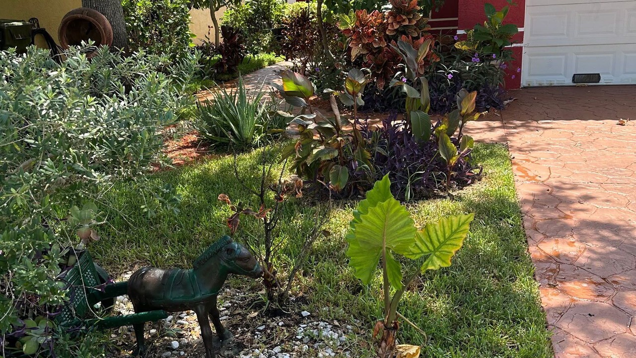Photo of Outdoor in Central Fort Lauderdale