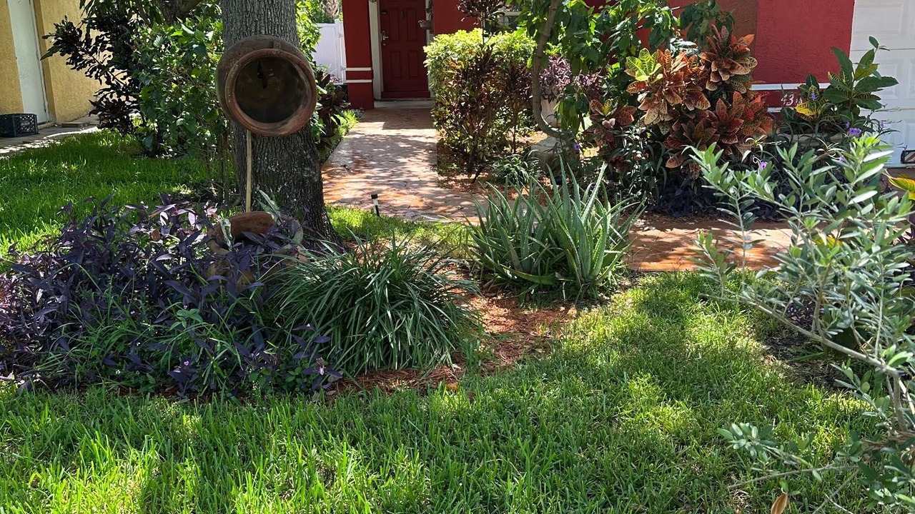 Photo of Outdoor in Central Fort Lauderdale