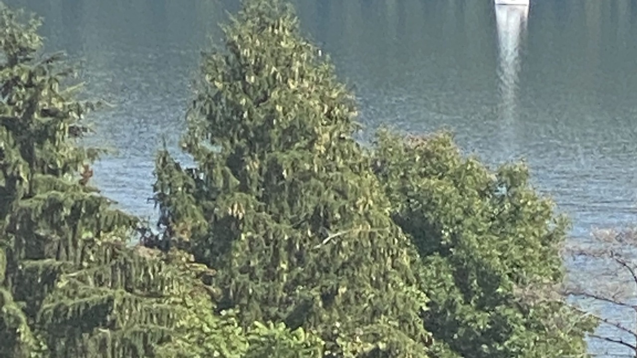 Photo of Others in Town of Reading