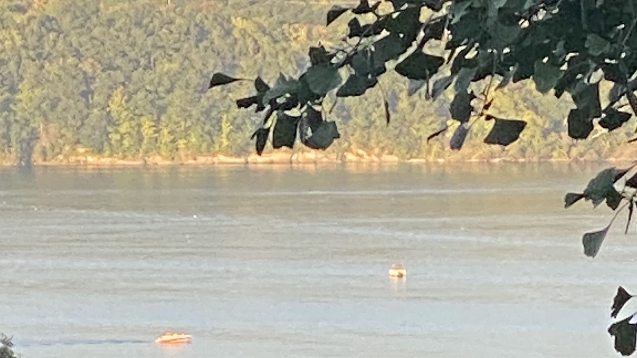 Photo of Others in Town of Reading
