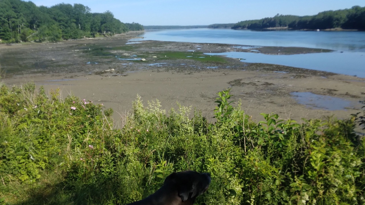 Photo of Others in Gouldsboro
