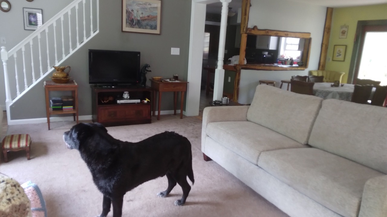 Photo of Livingroom in Gouldsboro
