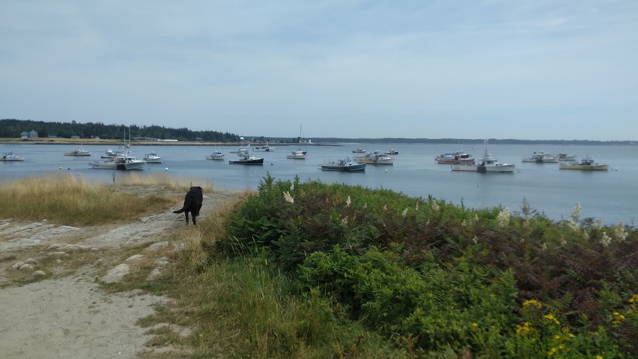 Photo of Others in Gouldsboro