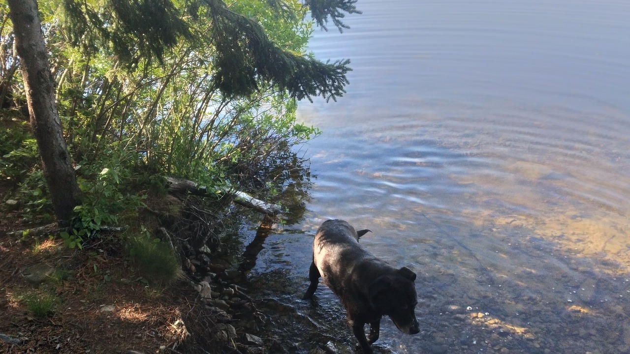 Photo of Others in Gouldsboro