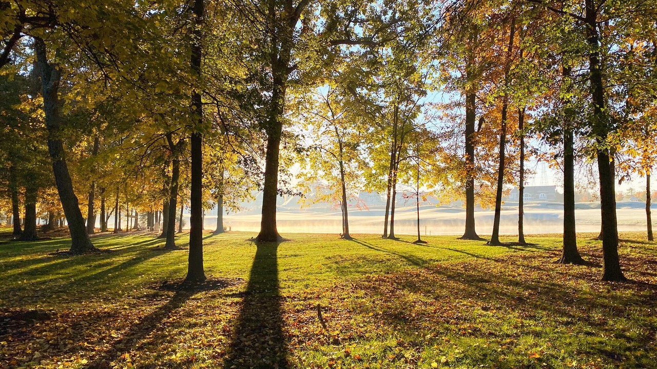 Photo of Outdoor in Dublin