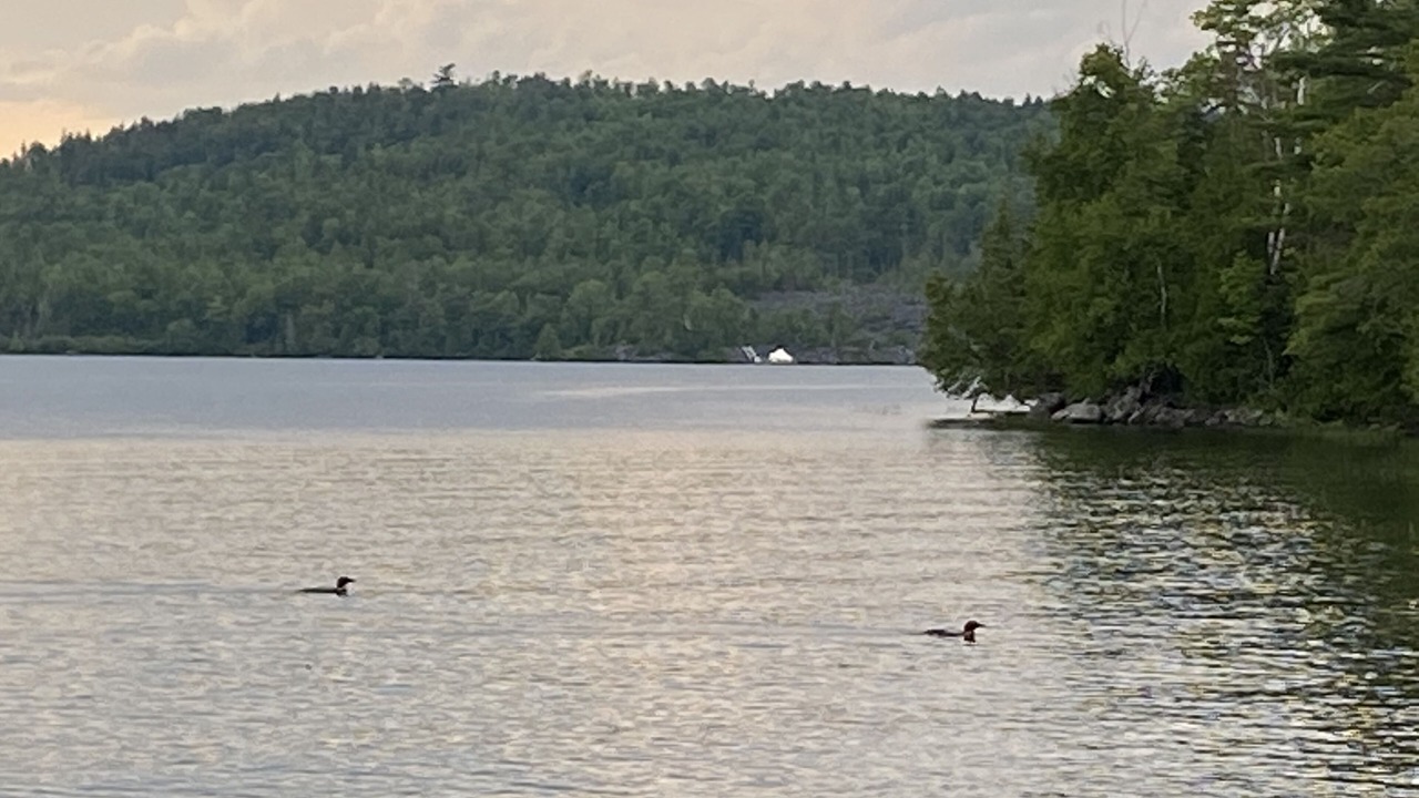Photo of Others in Monson