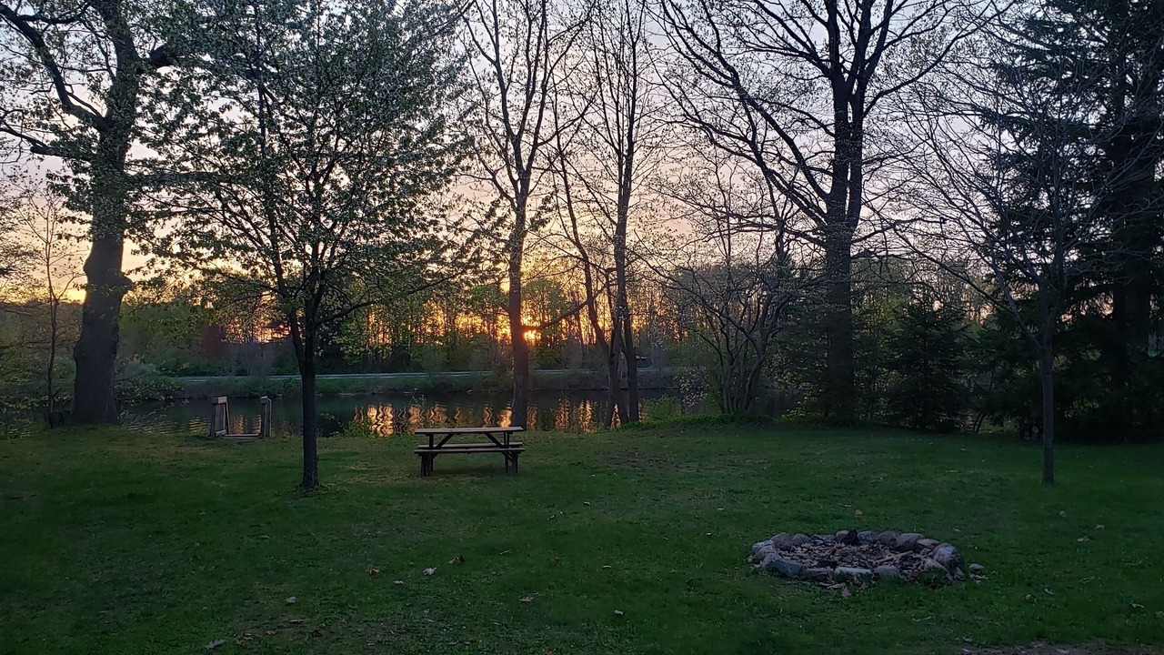 Photo of Outdoor in Albion
