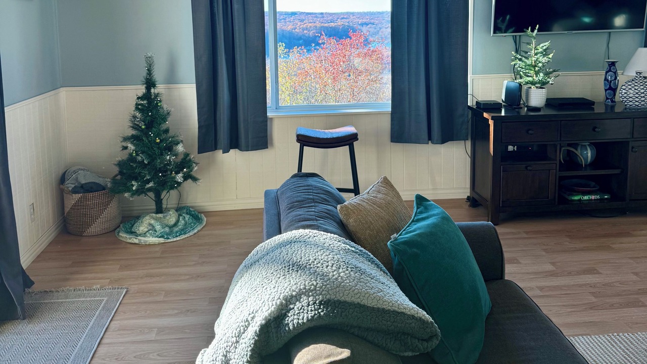 Photo of Livingroom in Pettit