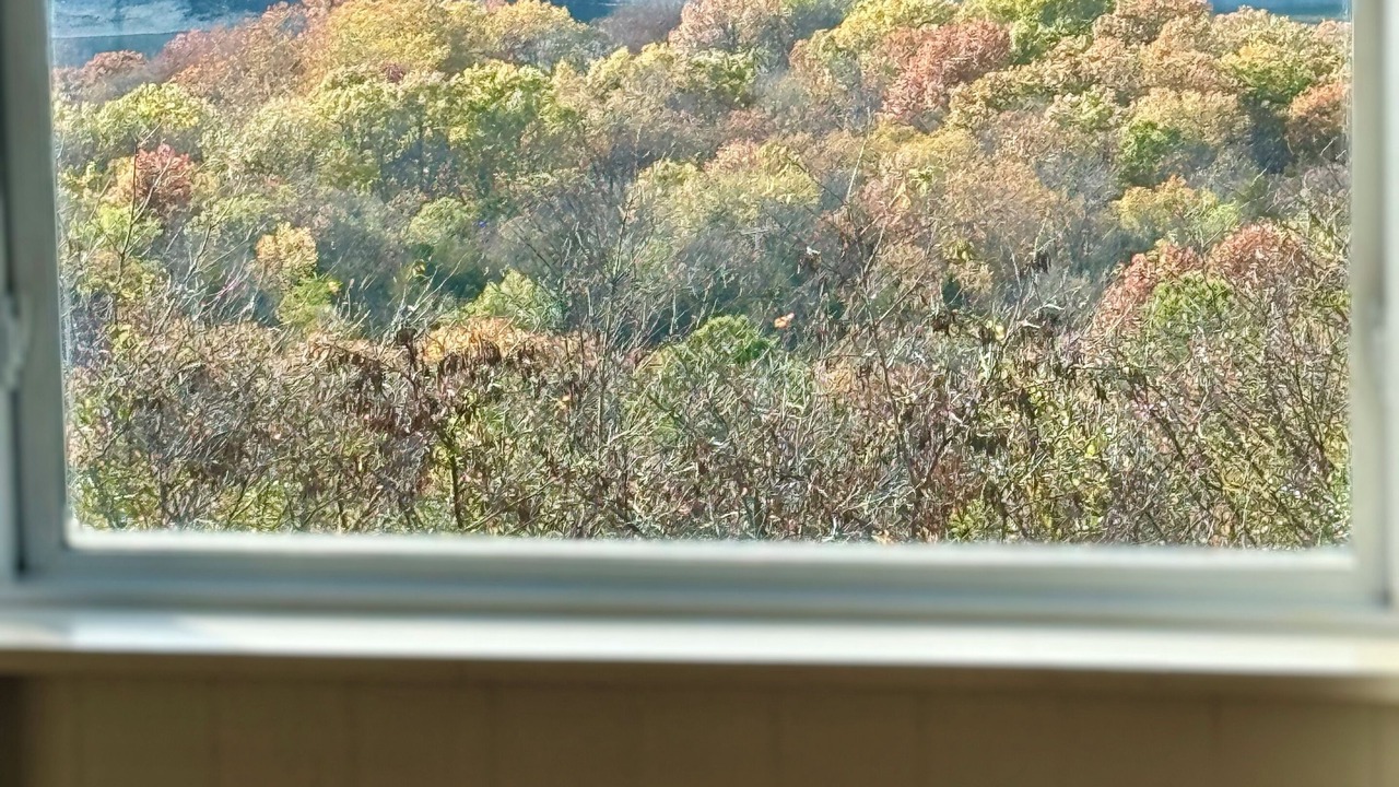 Photo of Others in Pettit