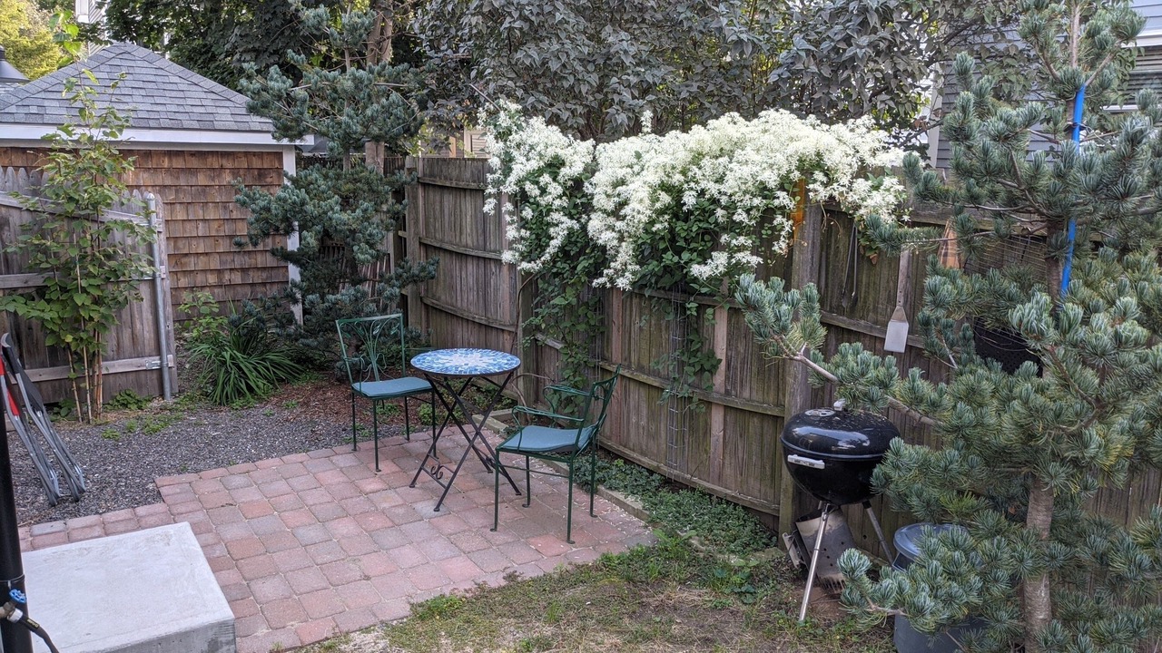 Photo of Others in Munjoy Hill